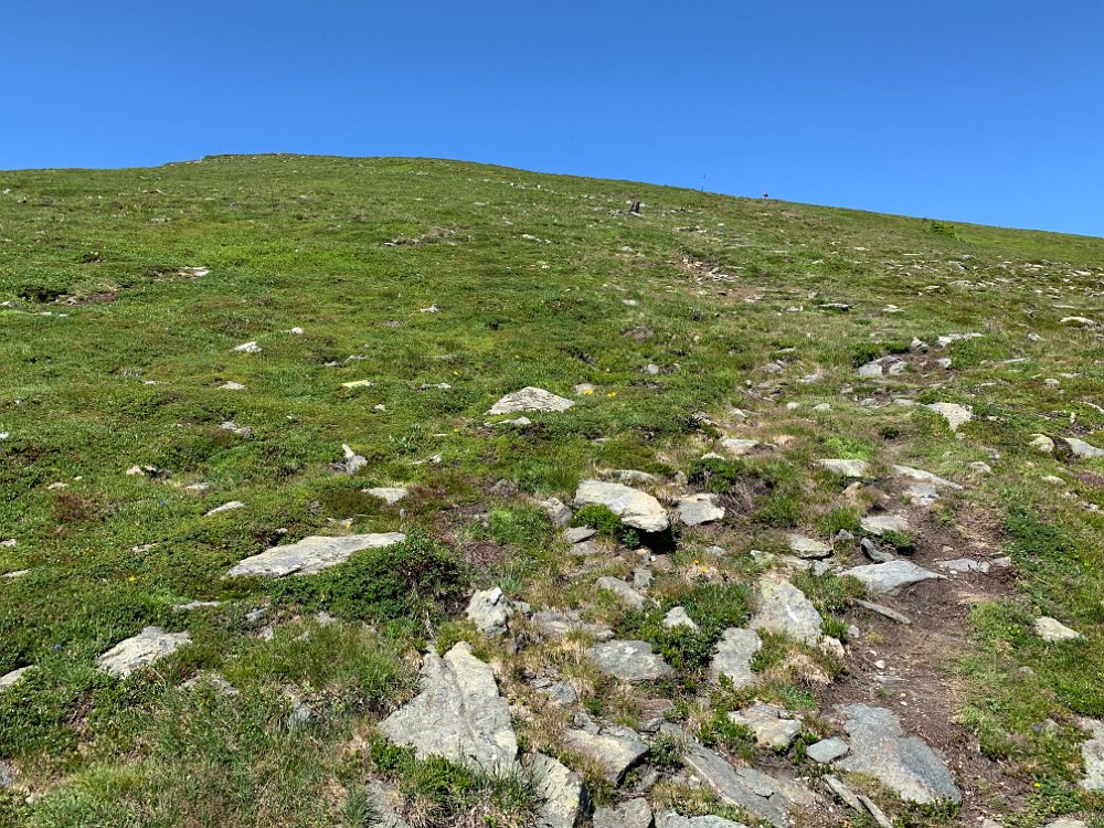 IMG_2658.jpg - Jetzt wirds richtig steil. Aufschwung auf den Speikkogel