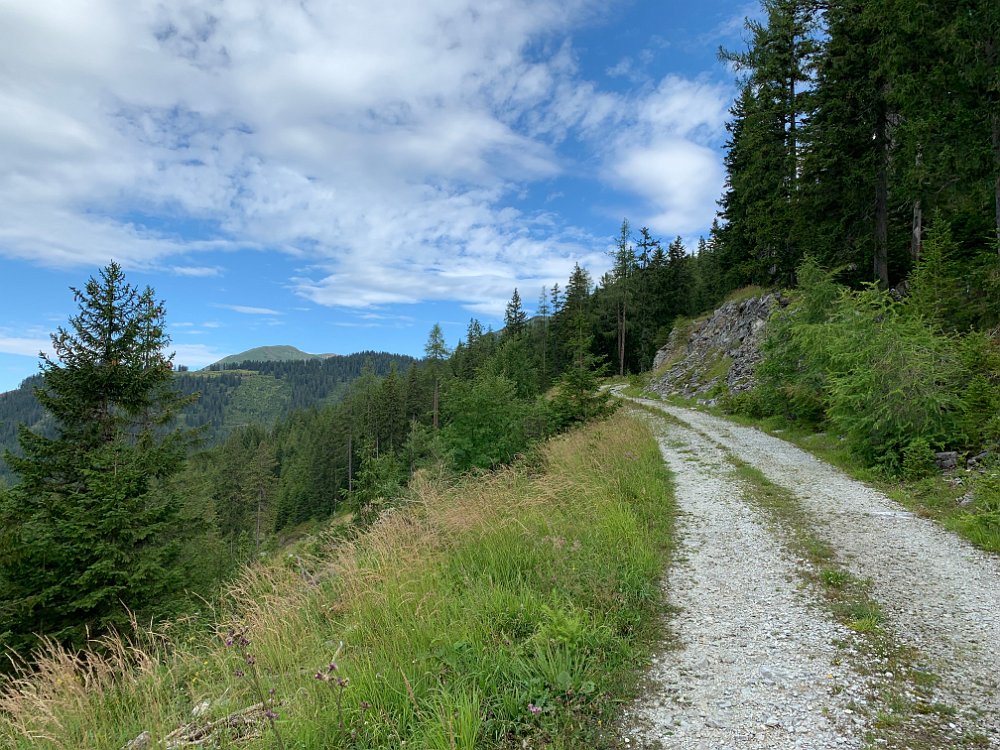 IMG_4619.jpg - ..angenehmes Wetter zum Wandern habe ich heute