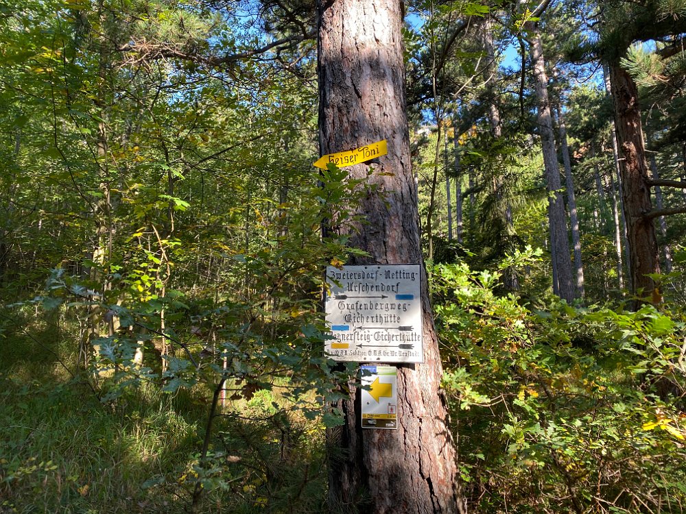 2019.10.13 09.54.45.jpg - Grafenbergweg- unser heutiger Aufstiegsweg