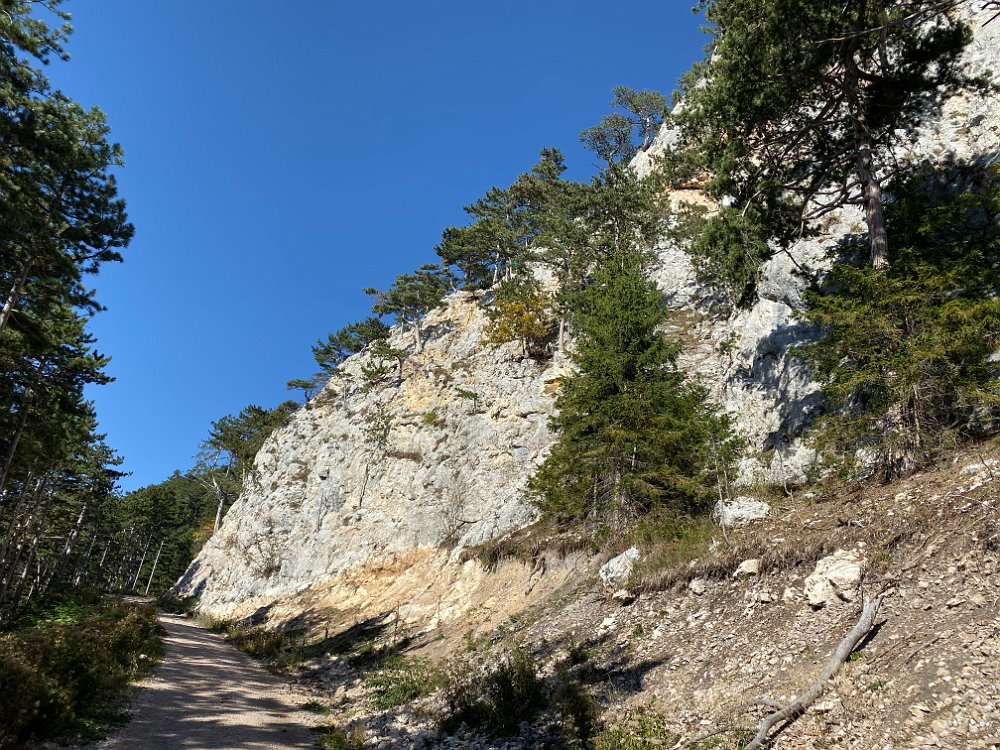 2019.10.13 10.48.27.jpg - Bis wir schließlcih den Babygrat (entlang des Felsgrates oben) auf der neuen Forststraße erreichen.