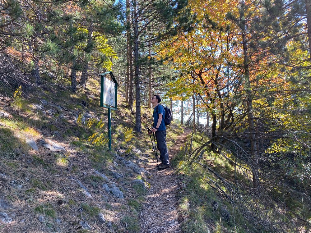 2019.10.13 11.17.20.jpg - ...den Grafenbergweg hinauf.