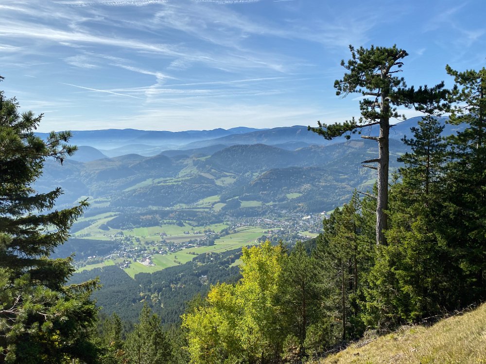 2019.10.13 12.08.50.jpg - Bis zu einem schönen Ausblick...