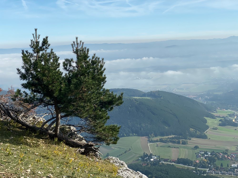 2019.10.13 14.24.23.jpg - ..Richtung Hubertushaus, wo eine Blaskapelle uns zum raschen...