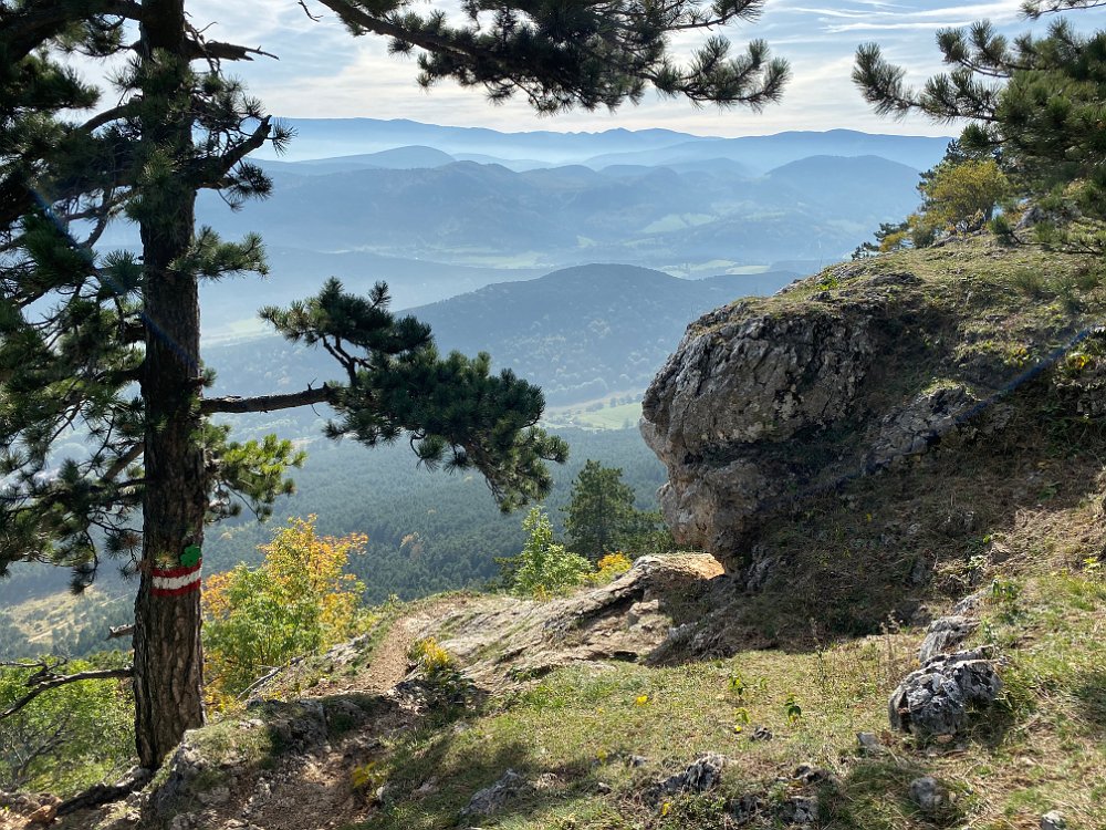 2019.10.13 14.32.25.jpg - ...Absteig über den Springlessteig überredet.