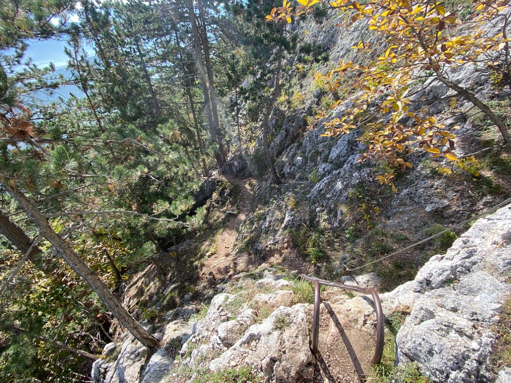 2019.10.13 14.41.52.jpg - An der Leiter