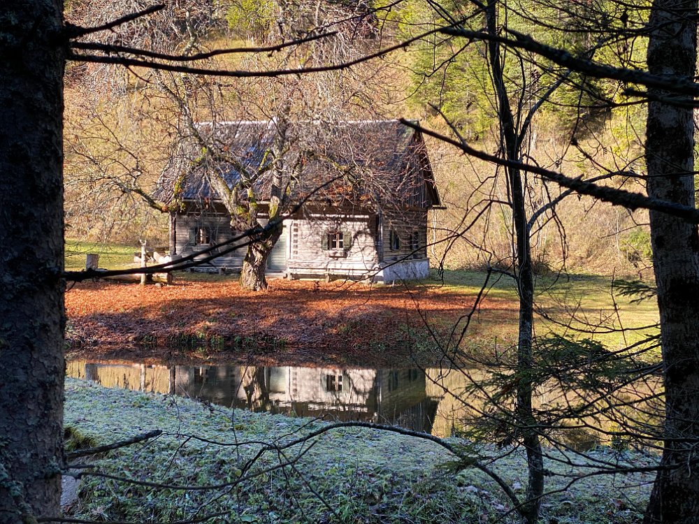2019.11.01 10.53.52.jpg - Idyll