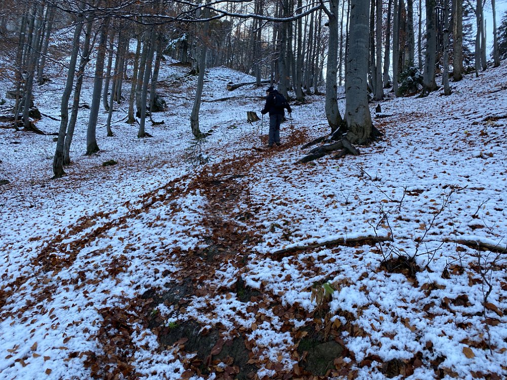 2019.11.01 12.03.24.jpg - ..tröpfelt es Schnee von den Bäumen.