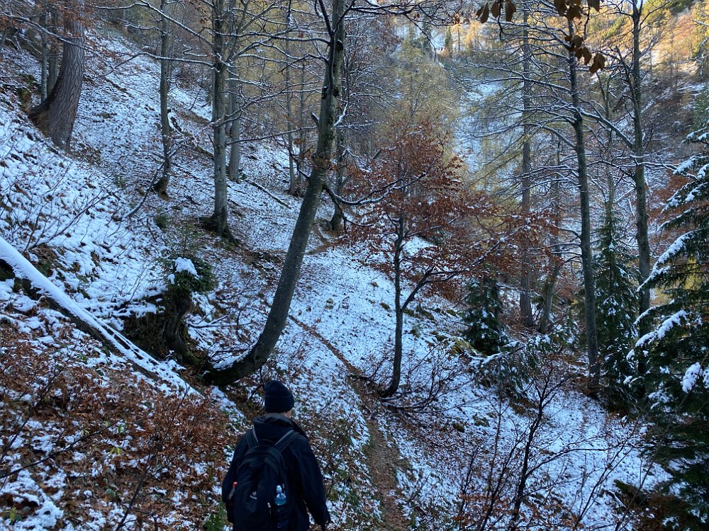 2019.11.01 12.09.41.jpg - Es ist....
