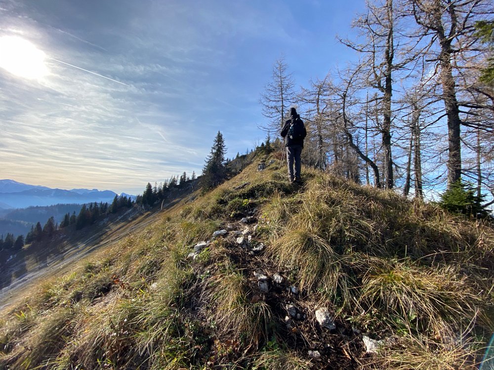 2019.11.01 13.18.37.jpg - Vergleich mit dem Ultraweitwinkel des 11 Pro.