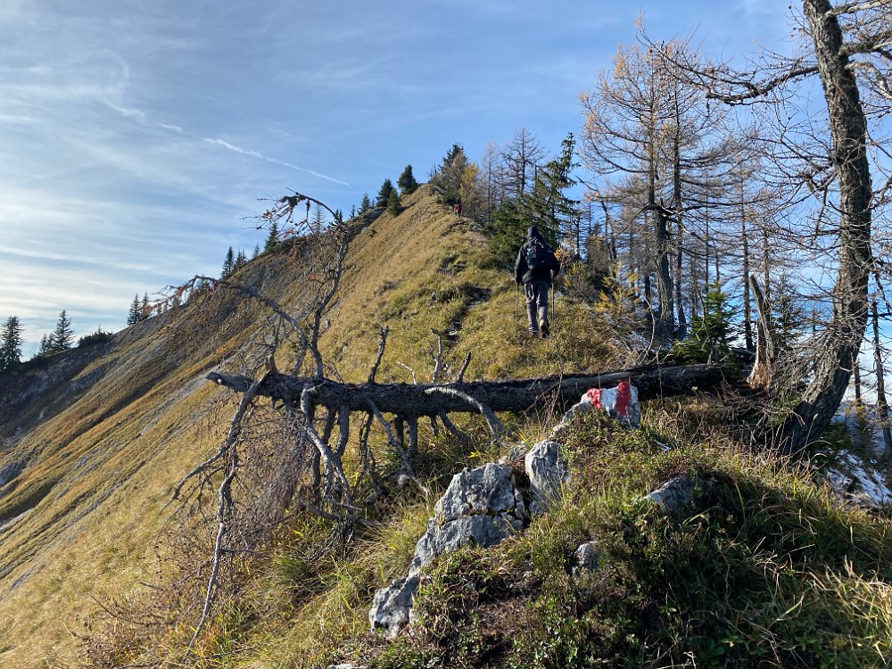 2019.11.01 13.23.40.jpg - Es ist rescher als es aussieht.