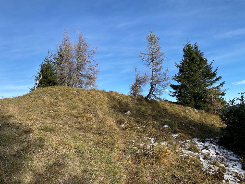 2019.11.01 13.39.35.jpg - Hier ist der Gipfel des Mittleren Zellerhutes (1586m)