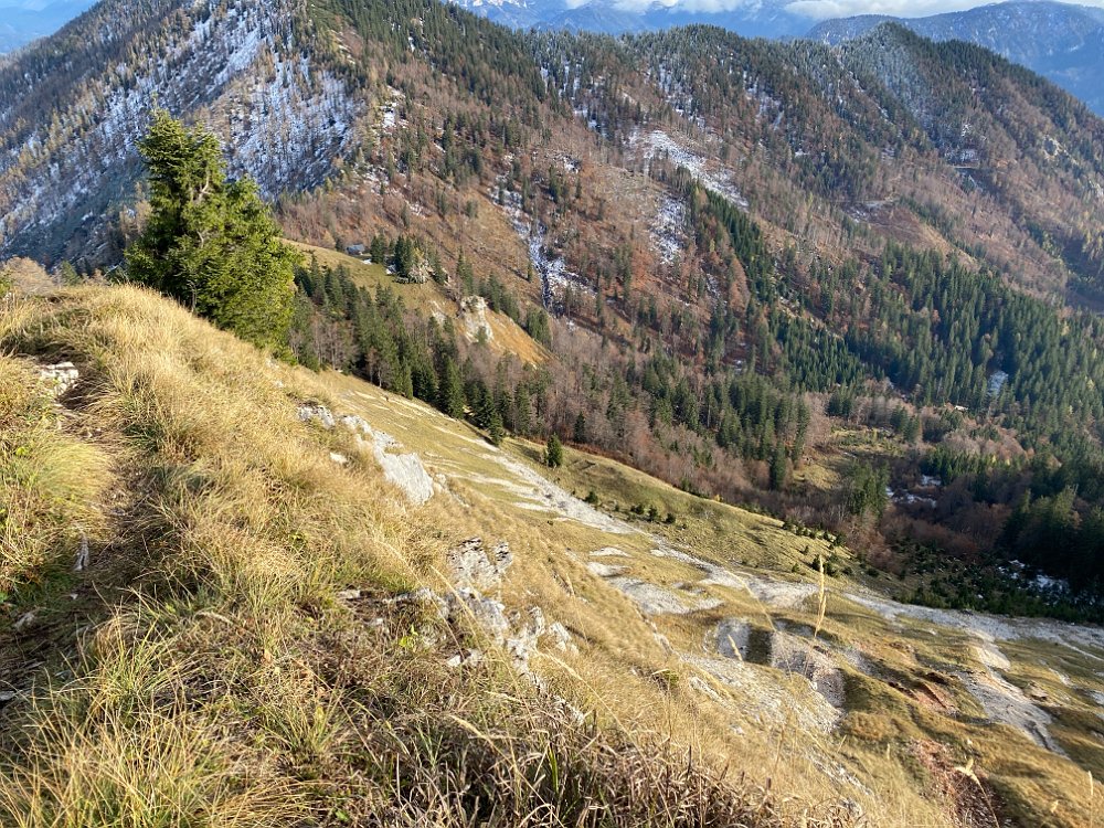 2019.11.01 14.34.17.jpg - Wir steigen wieder ab.