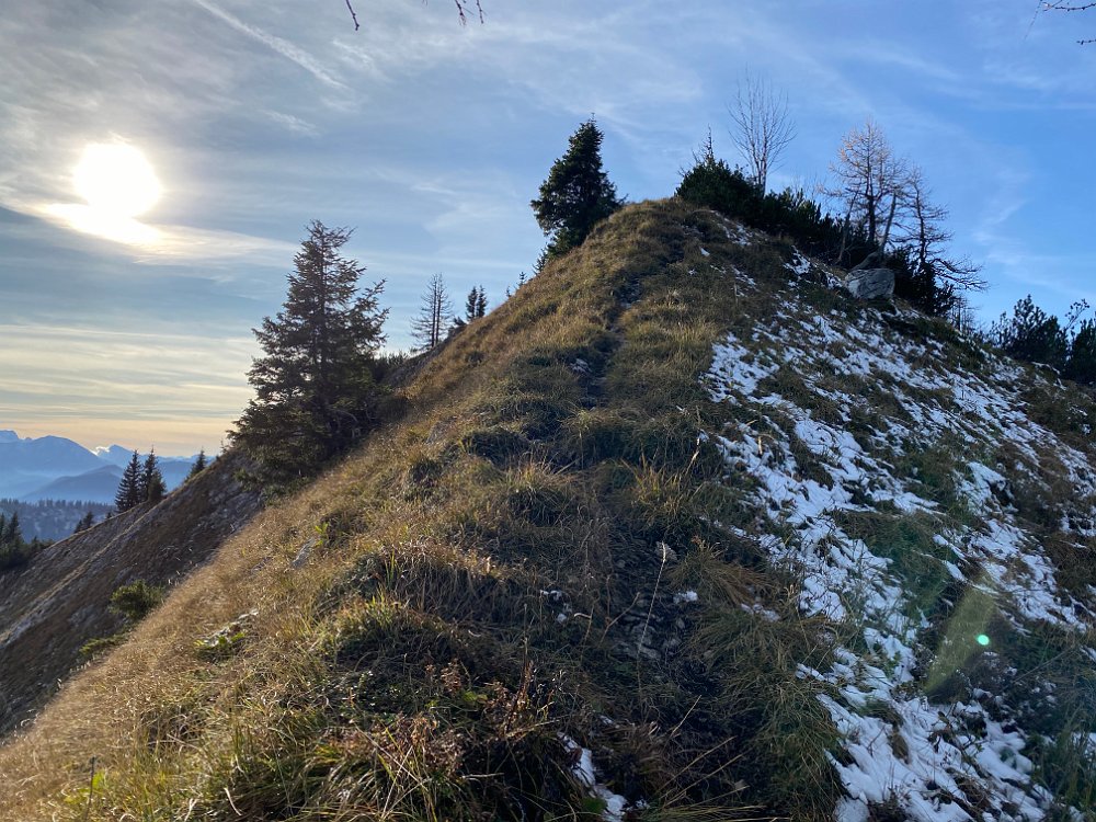 2019.11.01 14.39.45.jpg - Blick zurück