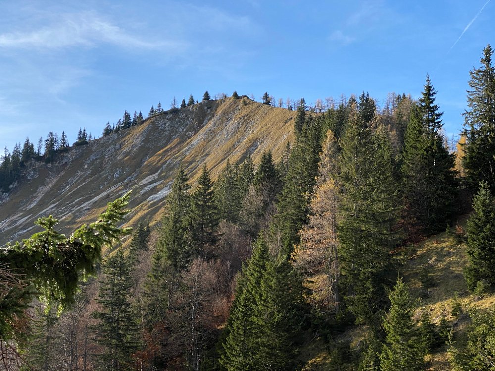 2019.11.01 14.57.18.jpg - Unser Ziel, der Mittlere Zellerhut