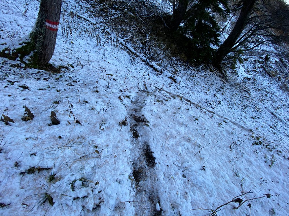 2019.11.01 15.19.21.jpg - ..ist es schon Winter.