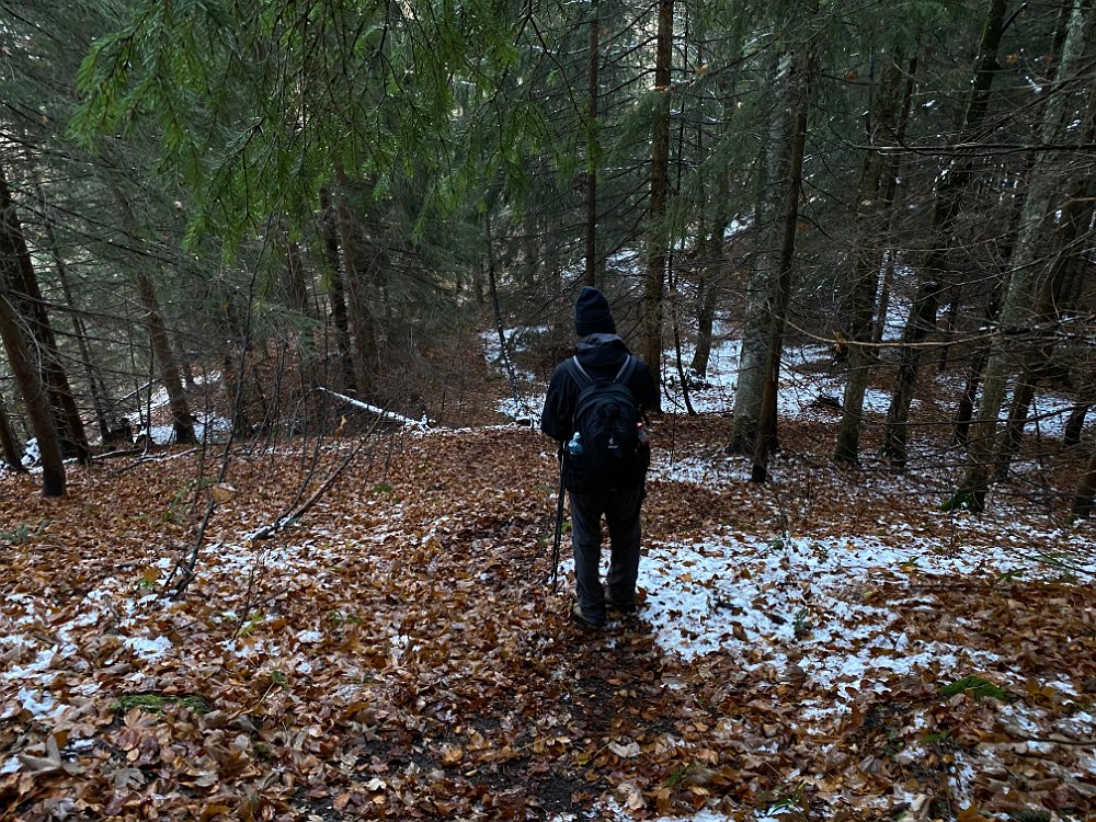 2019.11.01 15.49.54.jpg - ..jetzt noch durch den Regenschneewald