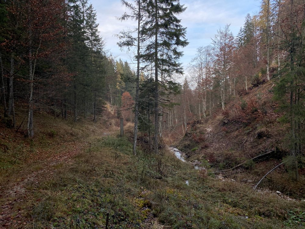 2019.11.01 16.21.49.jpg - ..dann gehts..