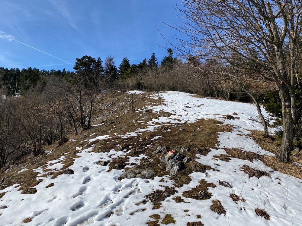 IMG_2563.jpg - Dann geht es weiter.