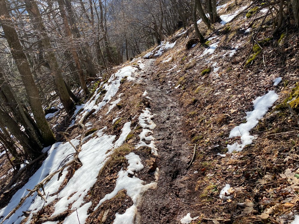 IMG_2570.jpg - ..Straßenbahnerweg. Gatschig und rutschig.