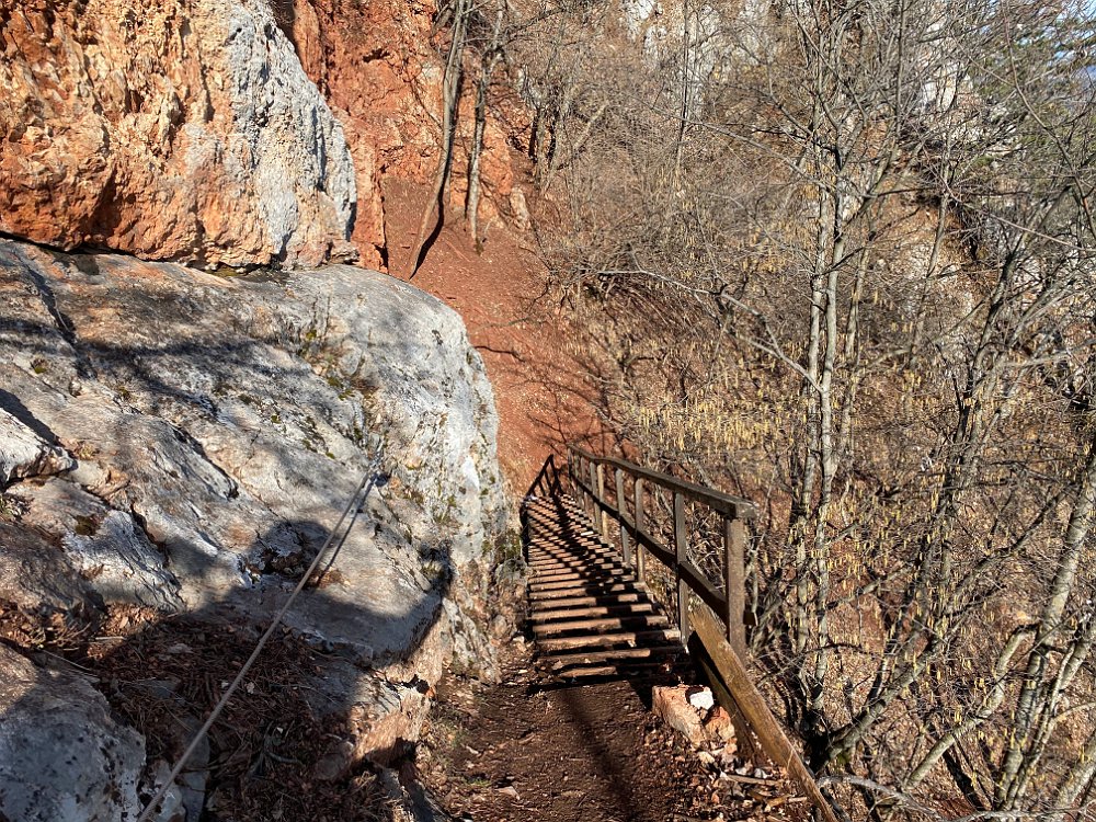 IMG_2576.jpg - Und natürlich darf auch heute das obligatorische Leiterfoto nicht fehlen.