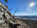IMG_2529