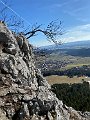 IMG_2532