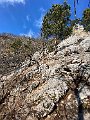 IMG_2538