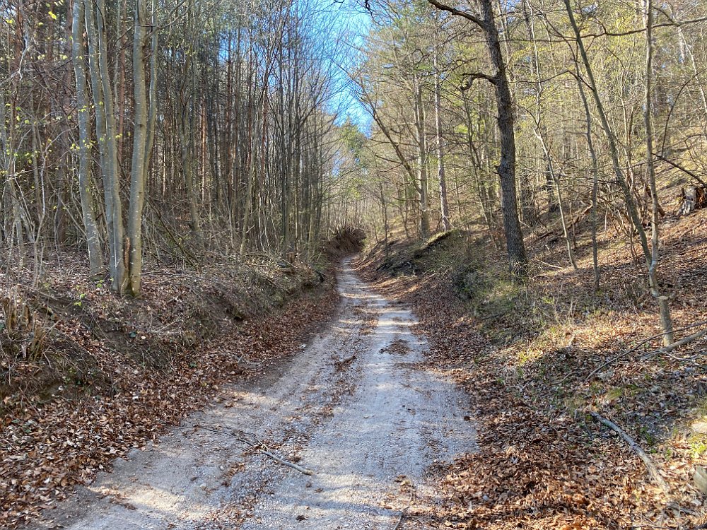 IMG_3375.jpg - Der ist ebenfalls, weil kaum Steigung, angenehm zu gehen,