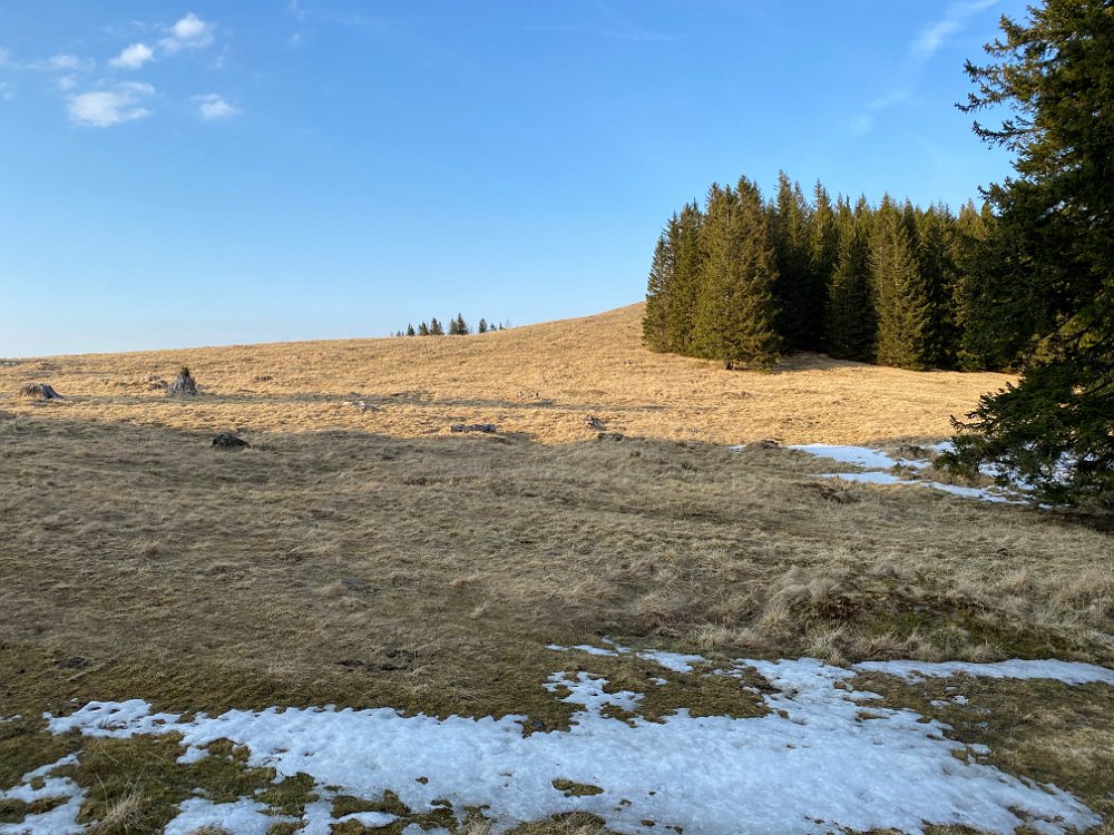 IMG_3515.jpg - ..aber halt! da wollte ich eh immer schon rauf, und (es ist steiler als es aussieht) heute ist noch Zeit und Ausdauer vorhanden.