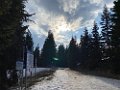 IMG_3508