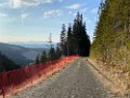 IMG_3514