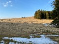 IMG_3515