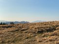 IMG_3516