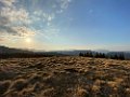IMG_3524