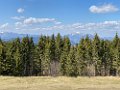 IMG_3659