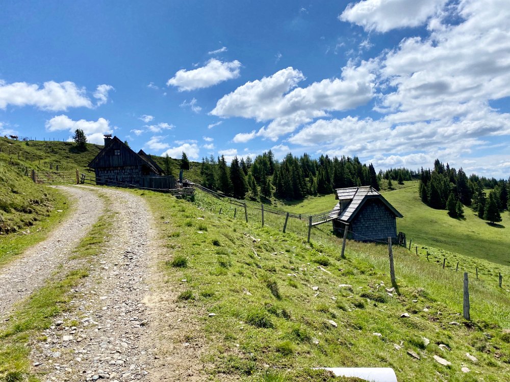 IMG_4270.JPEG - Nach ca 500hm bin ich auf der Halseralm.