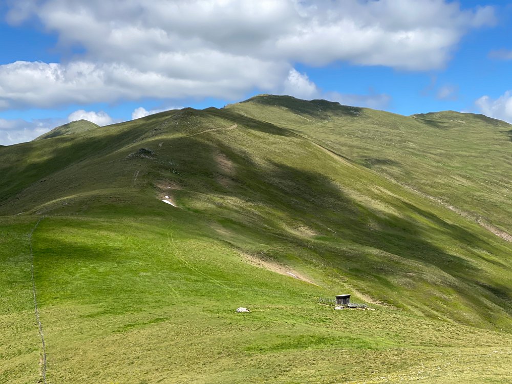 IMG_4295.jpg - Der Weiterweg zum Steineck (steiler), den spare ich mir heute auch.