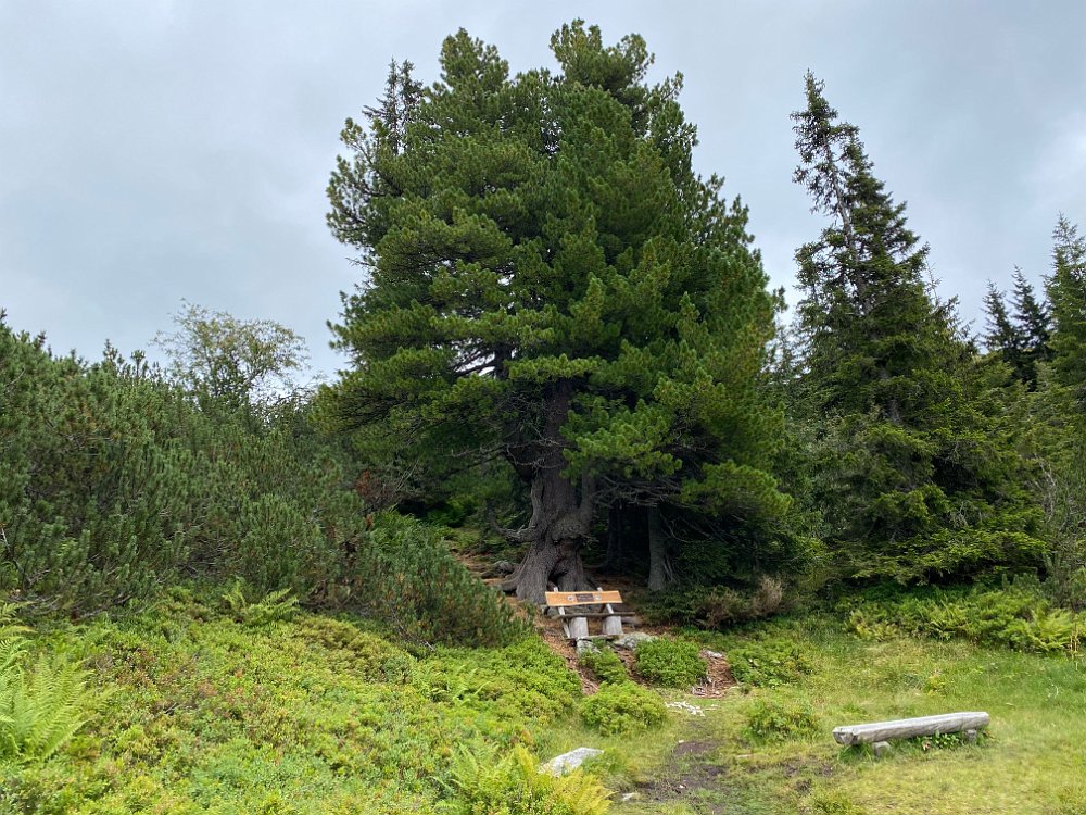 IMG_5584.jpg - Aber bald verlassen wir den Bauabschnitt.