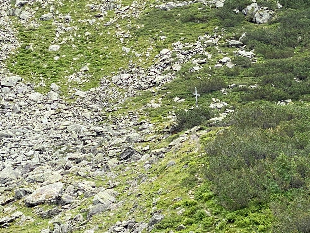 IMG_5597.jpg - ..zum Plannerkreuz weden soll.....