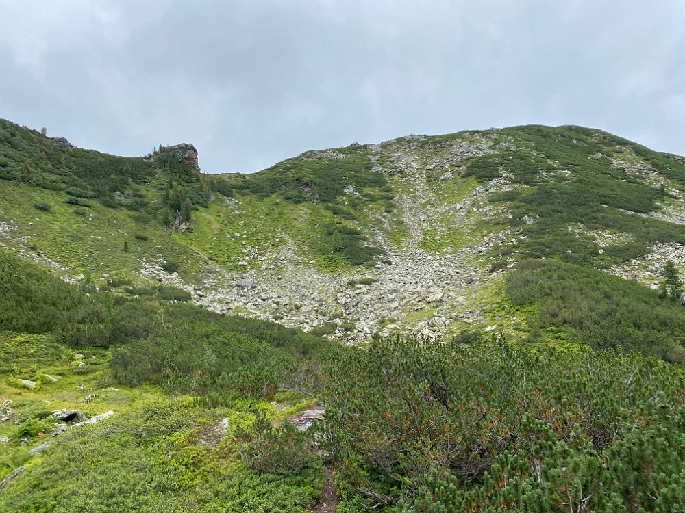 IMG_5598.jpg - ..gehen wir trotzdem weiter.