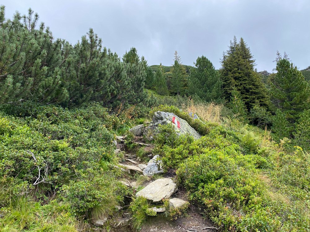 IMG_5600.jpg - ..schon weiter.