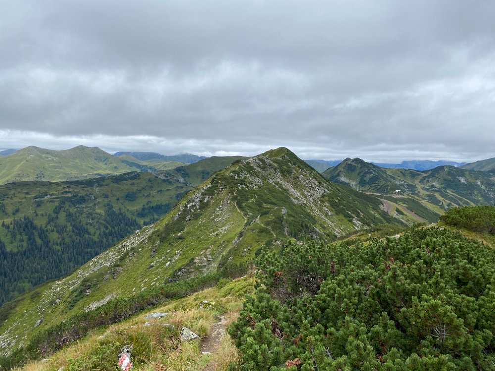 IMG_5607.jpg - Rückblick auf das Plannereck
