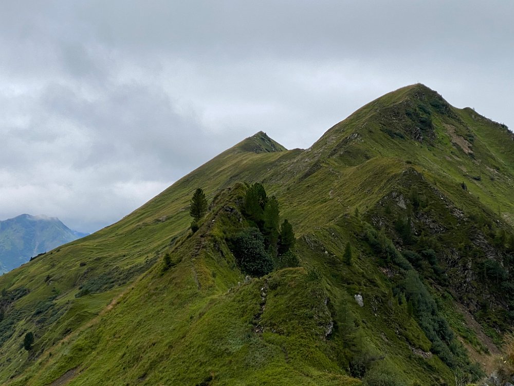IMG_5619.jpg - Also da drüber? Auf rutschigem Gatsch/Gras (und ja, es ist wesentlich steiler als es hier aussieht)?