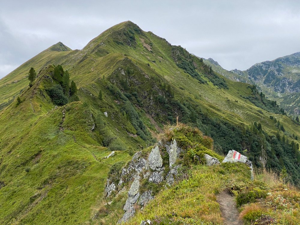 IMG_5620.jpg - Ziemlich resch, nicht mehr würzig..
