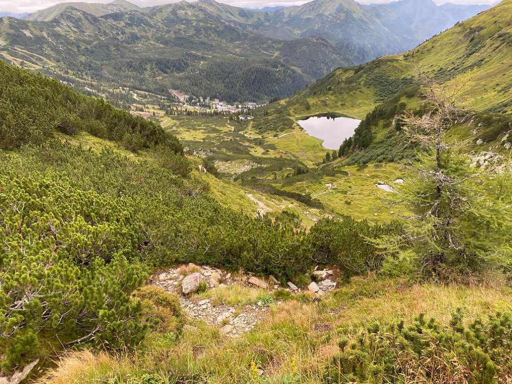 IMG_5627.jpg - Wir steigen den gleichen Weg wieder ab.