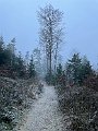 IMG_0935