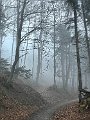 IMG_0946