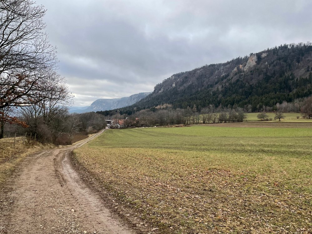 IMG_1004.jpg - Allerdings gehen wir heute einen neuen Weg- beim Martel gerade aus statt rechts. Vorbei beim Frankenhof.