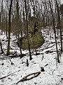 IMG_1066
