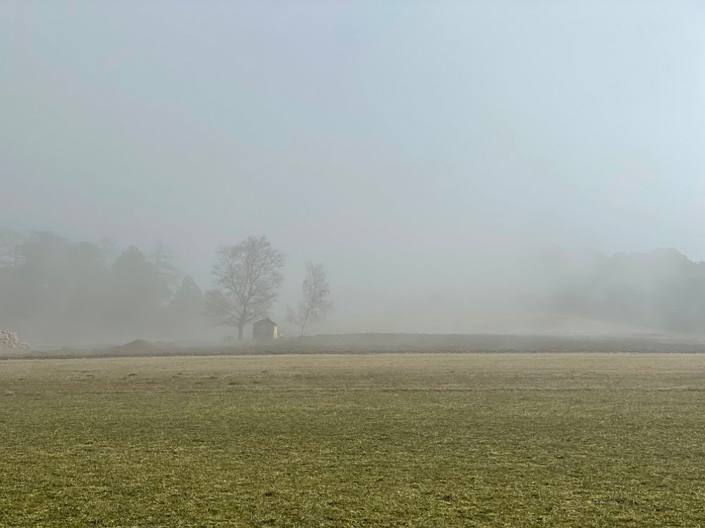 IMG_1400.jpg - ..wieder zurück in den Nebel.